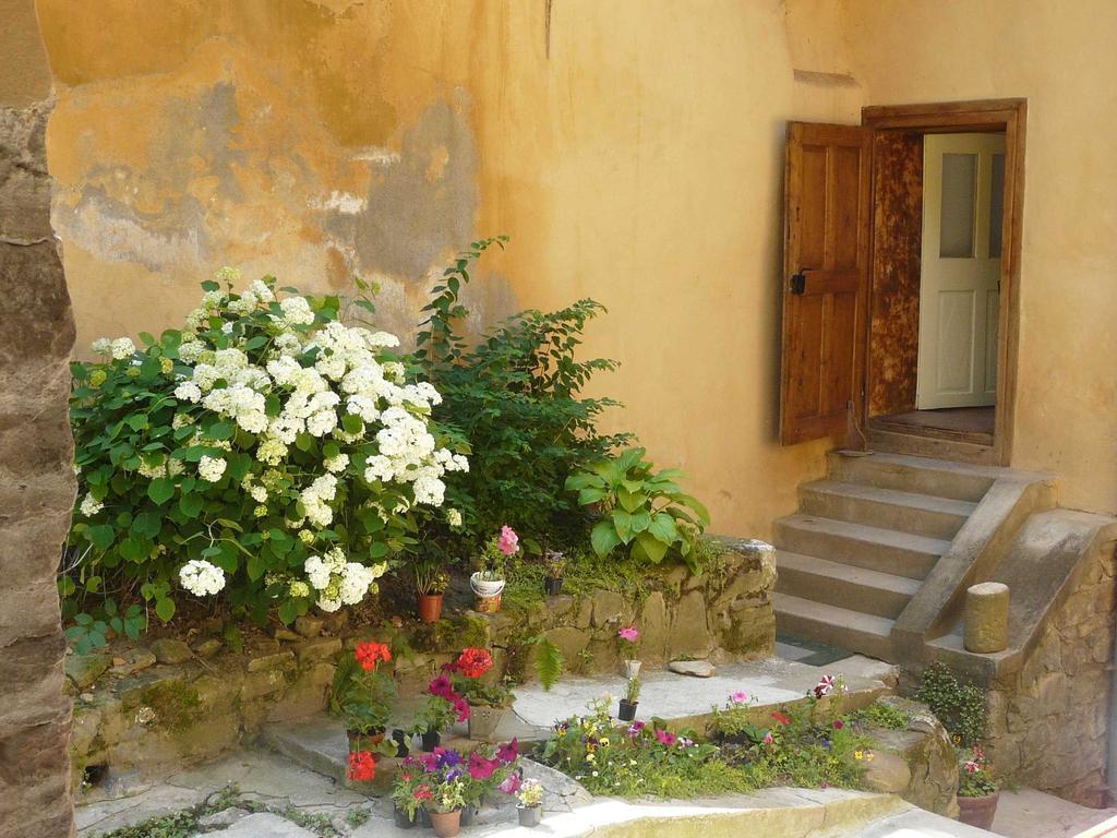 Casa Cojo Apartment Sighisoara Bilik gambar