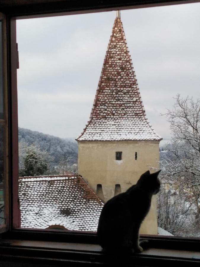 Casa Cojo Apartment Sighisoara Luaran gambar